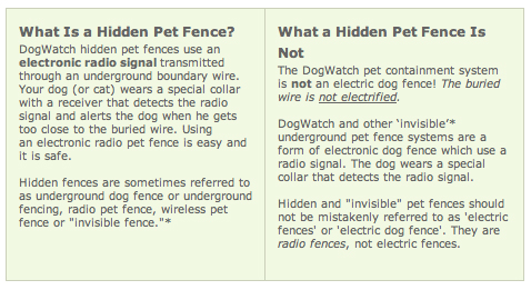 Dog watch hotsell electric fence